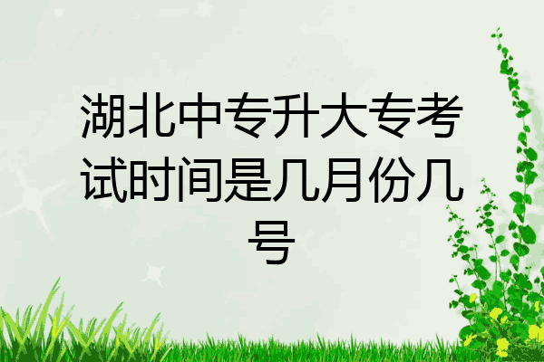 湖北中专升大专考试时间是几月份几号