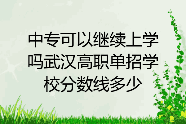 中专可以继续上学吗武汉高职单招学校分数线多少