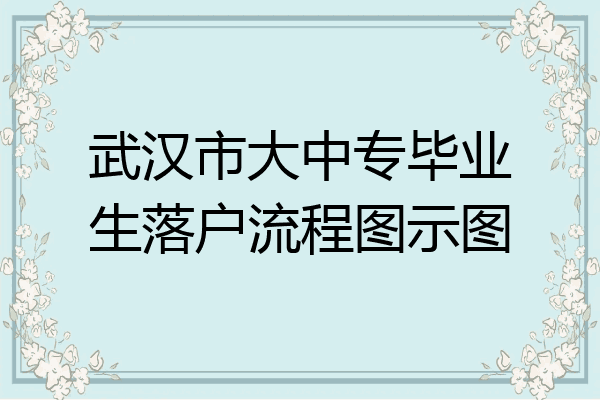武汉市大中专毕业生落户流程图示图