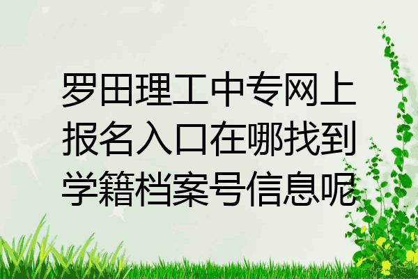 罗田理工中专网上报名入口在哪找到学籍档案号信息呢