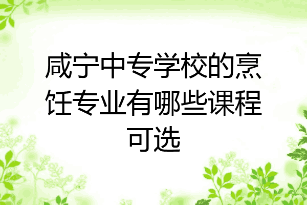 咸宁中专学校的烹饪专业有哪些课程可选