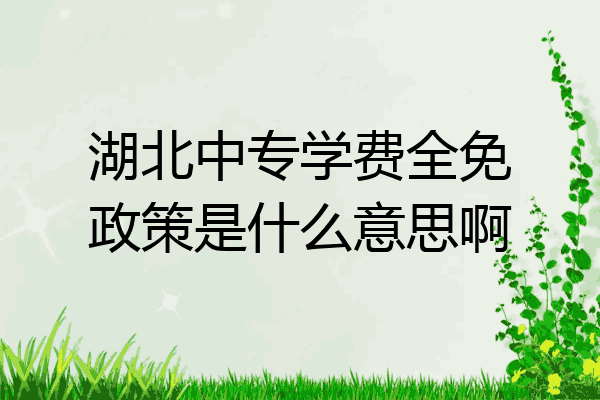 湖北中专学费全免政策是什么意思啊