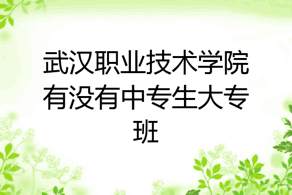 武汉职业技术学院有没有中专生大专班