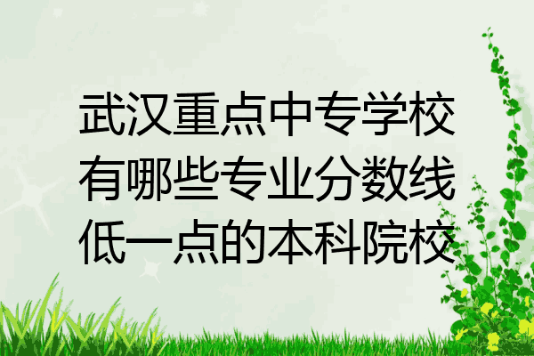 武汉重点中专学校有哪些专业分数线低一点的本科院校