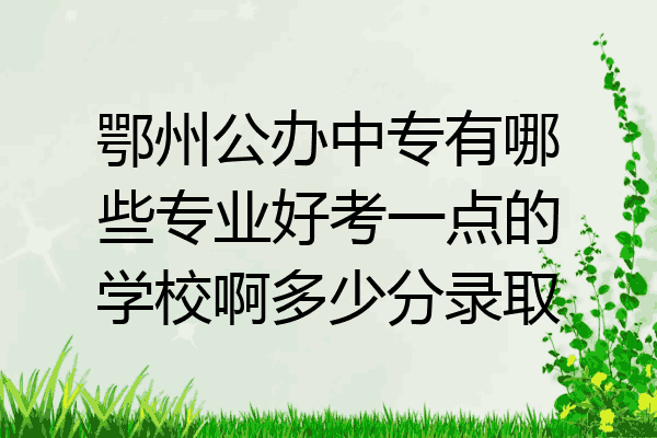 鄂州公办中专有哪些专业好考一点的学校啊多少分录取