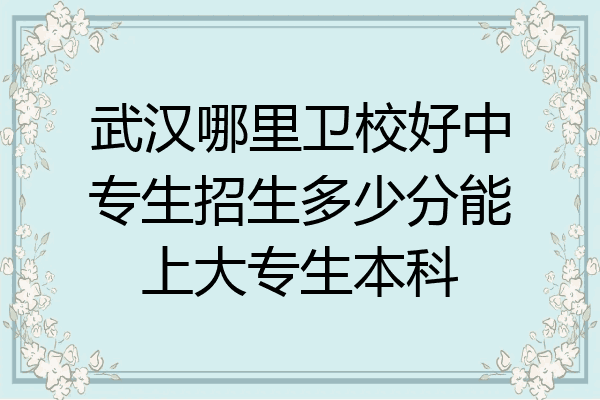 武汉哪里卫校好中专生招生多少分能上大专生本科