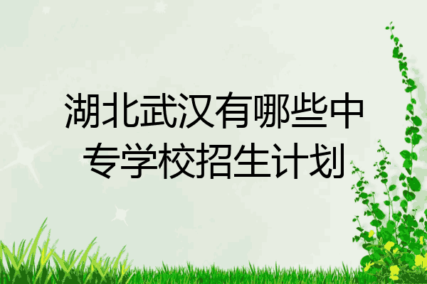 湖北武汉有哪些中专学校招生计划