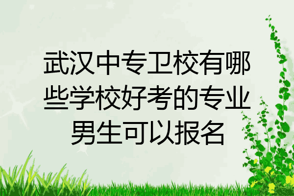 武汉中专卫校有哪些学校好考的专业男生可以报名