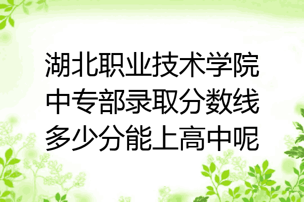 湖北职业技术学院中专部录取分数线多少分能上高中呢
