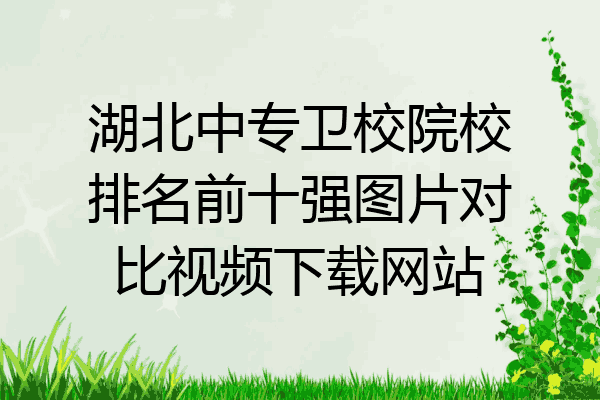 湖北中专卫校院校排名前十强图片对比视频下载网站