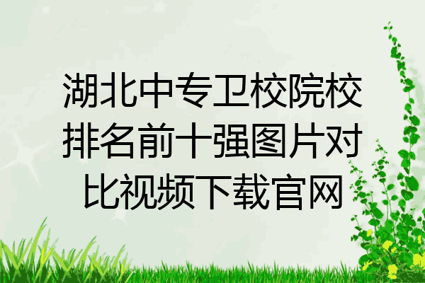 湖北中专卫校院校排名前十强图片对比视频下载官网