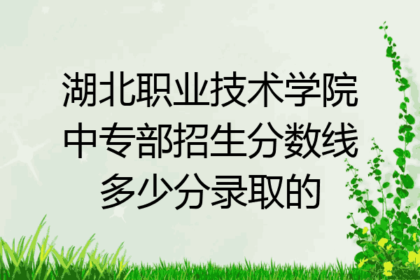 湖北职业技术学院中专部招生分数线多少分录取的