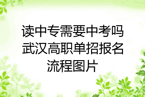 读中专需要中考吗武汉高职单招报名流程图片