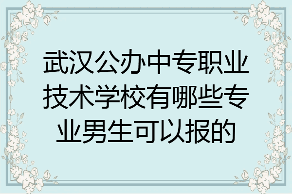 武汉公办中专职业技术学校有哪些专业男生可以报的