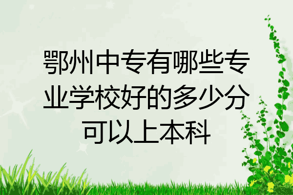 鄂州中专有哪些专业学校好的多少分可以上本科