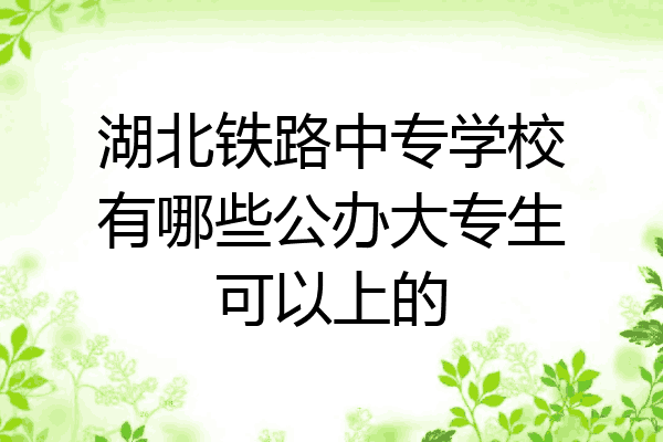 湖北铁路中专学校有哪些公办大专生可以上的