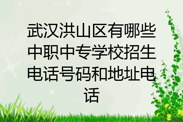 武汉洪山区有哪些中职中专学校招生电话号码和地址电话