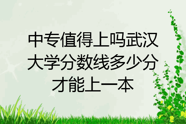 中专值得上吗武汉大学分数线多少分才能上一本
