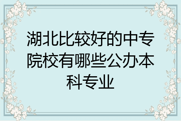 湖北比较好的中专院校有哪些公办本科专业