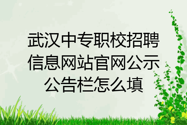 武汉中专职校招聘信息网站官网公示公告栏怎么填