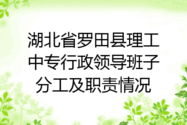 湖北省罗田县理工中专行政领导班子分工及职责情况