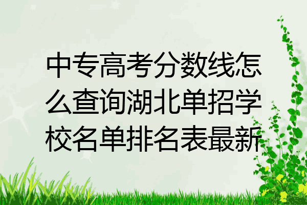 中专高考分数线怎么查询湖北单招学校名单排名表最新