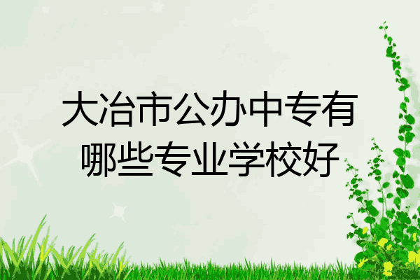 大冶市公办中专有哪些专业学校好