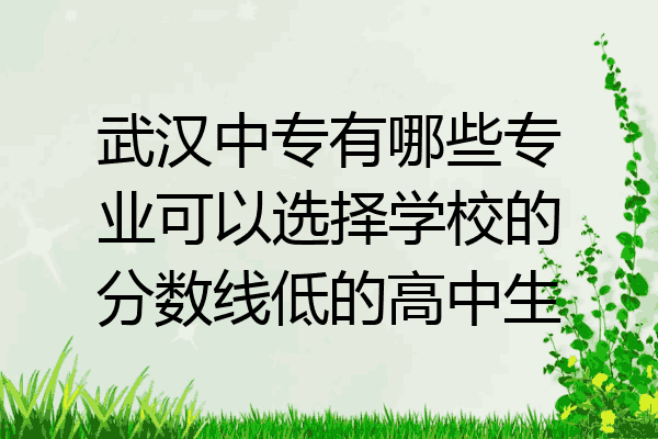 武汉中专有哪些专业可以选择学校的分数线低的高中生
