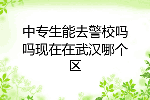 中专生能去警校吗吗现在在武汉哪个区