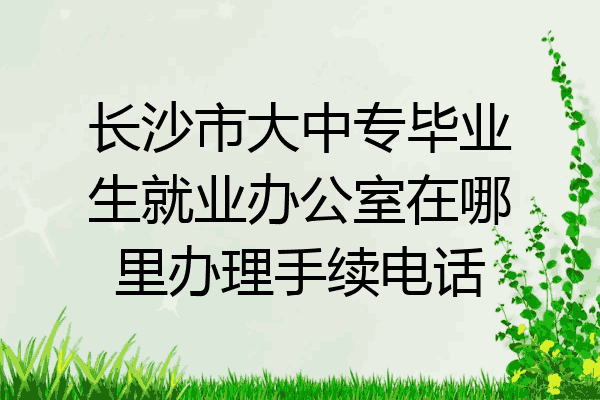 长沙市大中专毕业生就业办公室在哪里办理手续电话