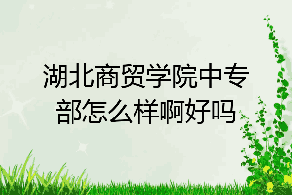 湖北商贸学院中专部怎么样啊好吗