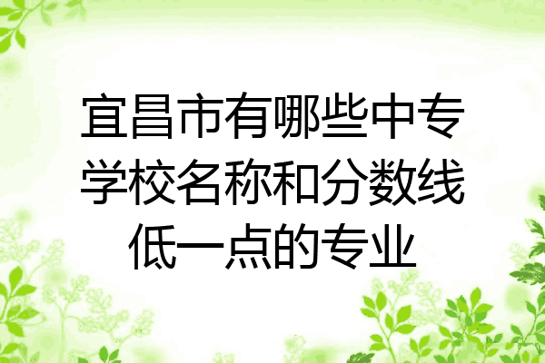 宜昌市有哪些中专学校名称和分数线低一点的专业