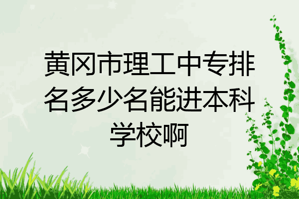 黄冈市理工中专排名多少名能进本科学校啊