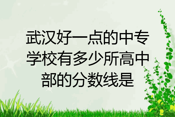 武汉好一点的中专学校有多少所高中部的分数线是