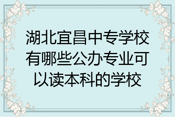 湖北宜昌中专学校有哪些公办专业可以读本科的学校