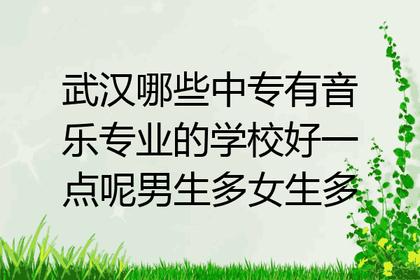 武汉哪些中专有音乐专业的学校好一点呢男生多女生多