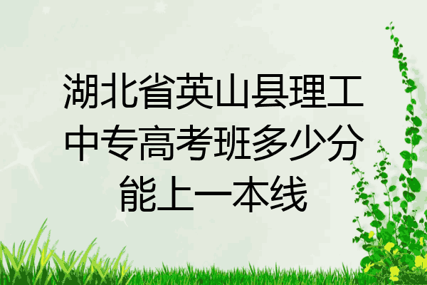 湖北省英山县理工中专高考班多少分能上一本线