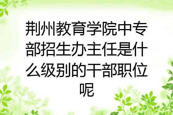 荆州教育学院中专部招生办主任是什么级别的干部职位呢