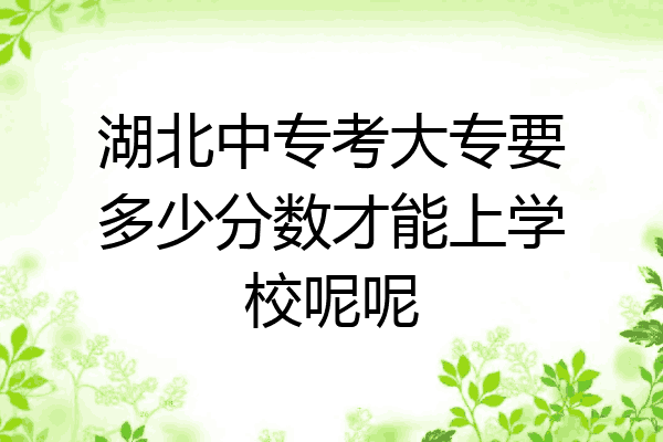 湖北中专考大专要多少分数才能上学校呢呢