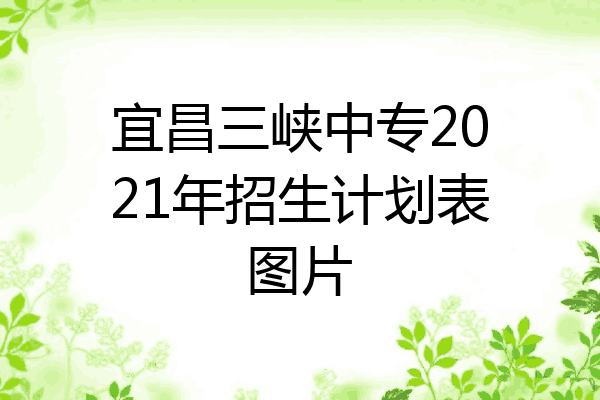 宜昌三峡中专2021年招生计划表图片