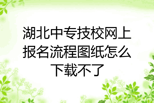 湖北中专技校网上报名流程图纸怎么下载不了