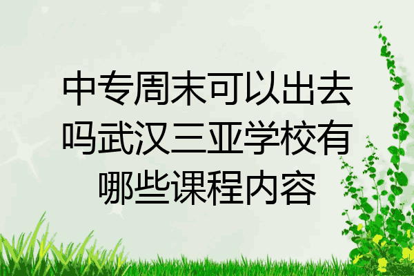 中专周末可以出去吗武汉三亚学校有哪些课程内容