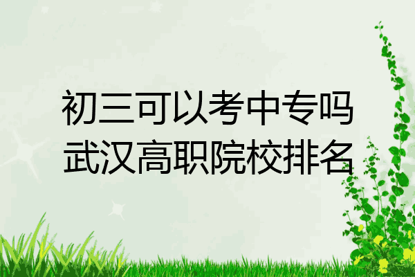 初三可以考中专吗武汉高职院校排名