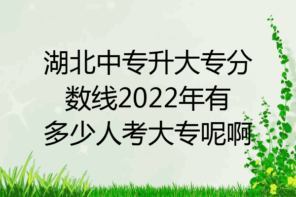 湖北中专升大专分数线2022年有多少人考大专呢啊