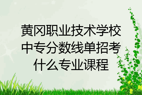 黄冈职业技术学校中专分数线单招考什么专业课程