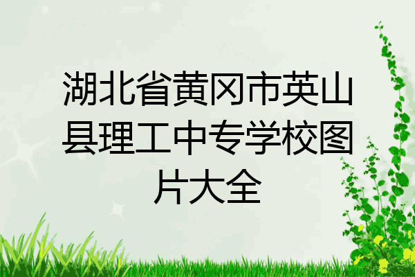 湖北省黄冈市英山县理工中专学校图片大全