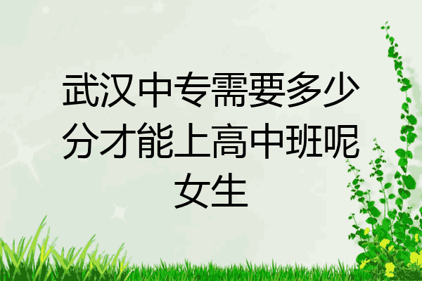 武汉中专需要多少分才能上高中班呢女生