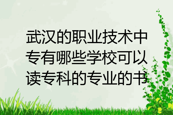武汉的职业技术中专有哪些学校可以读专科的专业的书