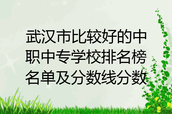 武汉市比较好的中职中专学校排名榜名单及分数线分数