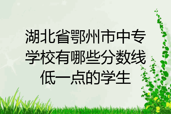 湖北省鄂州市中专学校有哪些分数线低一点的学生